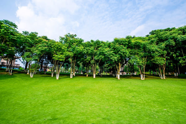 amenities Image